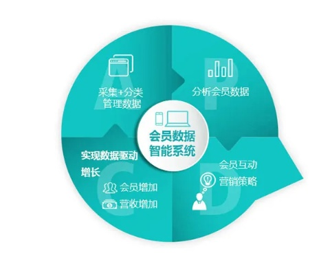 七鱼数据，解锁企业数据驱动增长的新密码