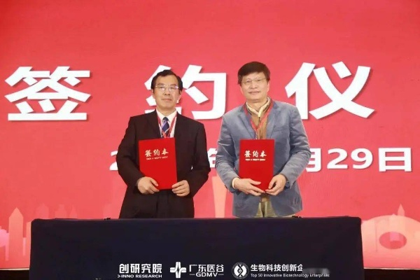 龙凤联盟，携手共进的创新之路