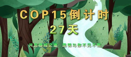 大象联盟，重塑自然与人类共生的新篇章