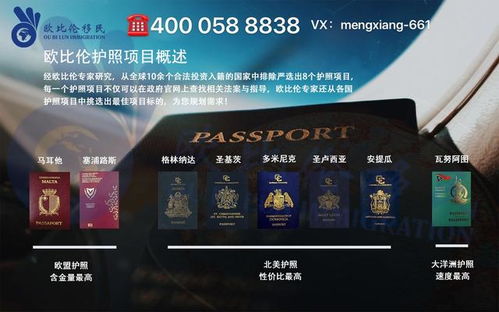 HYP广告联盟，英国商业广告的新势力