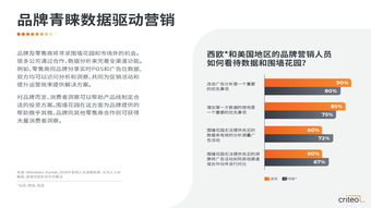 TN广告联盟，重塑数字营销新生态的先锋力量