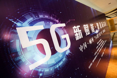 蜂语广告联盟，重塑数字营销新生态