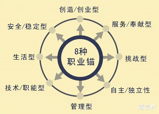 精准领域，解锁个人与职业发展的新钥匙