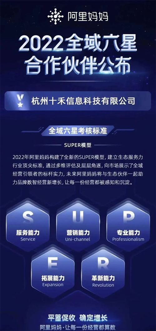 梦想广告联盟，携手共创未来，共赢数字营销新时代