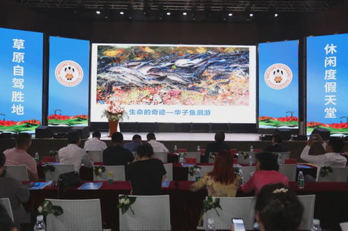 美途联盟，携手共创旅游新纪元