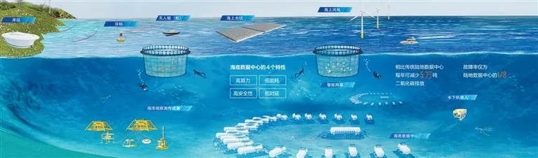 鲸鲨网盟，探索海洋生态与数字经济的交汇点