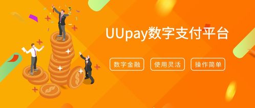 98无限日付联盟，重塑支付行业的未来