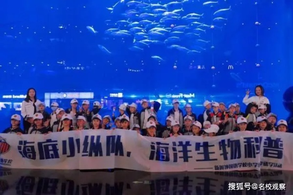 飞海联盟，探索海洋新纪元，共筑蓝色梦想