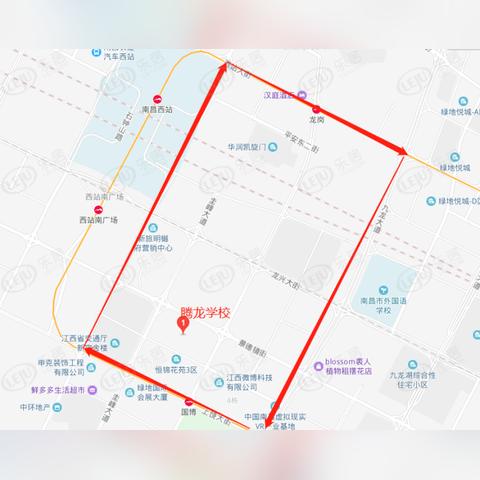 腾龙广告联盟，打造高效广告生态，引领数字营销新风尚