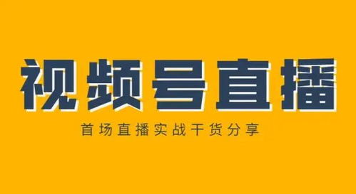 蜗牛网盟，慢生活下的网络社群与知识共享