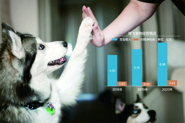 联盟猫，重塑宠物经济的未来