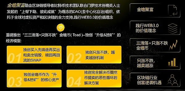 金鲨联盟，重塑商业版图，引领未来创新潮流