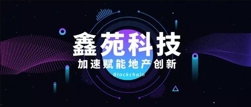 比特交友联盟，重塑数字时代下的社交新生态